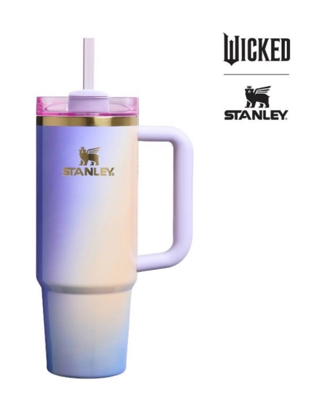 Stanley Wicked 30 oz Stainless Steel H2.0 Quencher Tumbler Glinda For Good